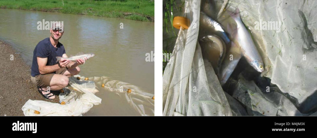 Enquêtes aquatiques et l'évaluation de la région de Slim Buttes Harding et Butte Co., SD (2006) (21093301766) Banque D'Images