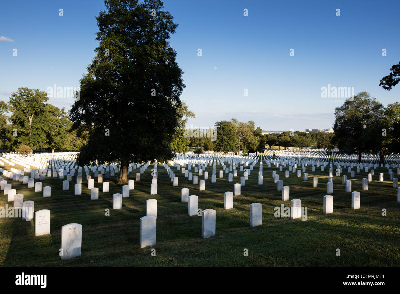 Le cimetière d'Arlington, Virginia Banque D'Images