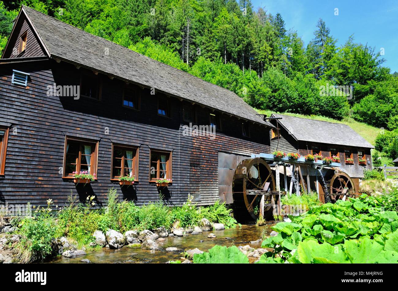 Hexenlochmühle dans la Forêt Noire Allemagne Banque D'Images