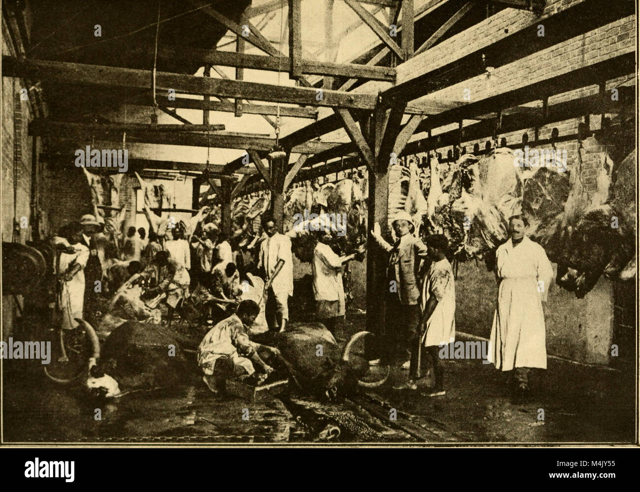 Les Annales du MusÃ©e Colonial de Marseille, revue publiée entre 1907 et 1954, documente l’histoire, les collections et les expositions liées au colonialisme, en mettant l’accent sur les artefacts des colonies françaises. Banque D'Images