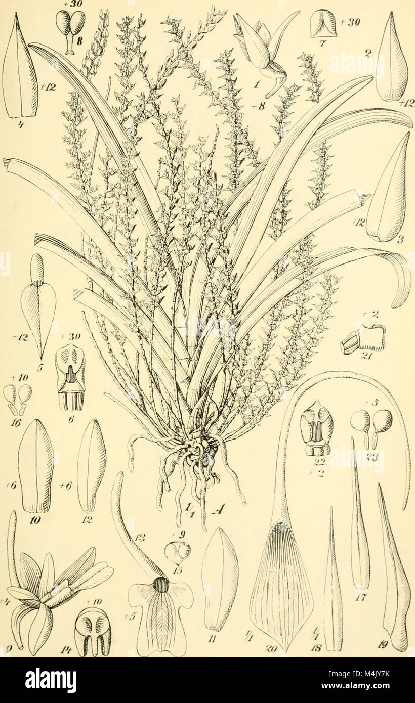 Un recueil d'articles publiés dans les Annales du Muse colonial de Marseille, couvrant l'histoire coloniale et des expositions de 1907 à 1954. Il offre des perspectives historiques sur le colonialisme français, les politiques coloniales et les artefacts. Banque D'Images