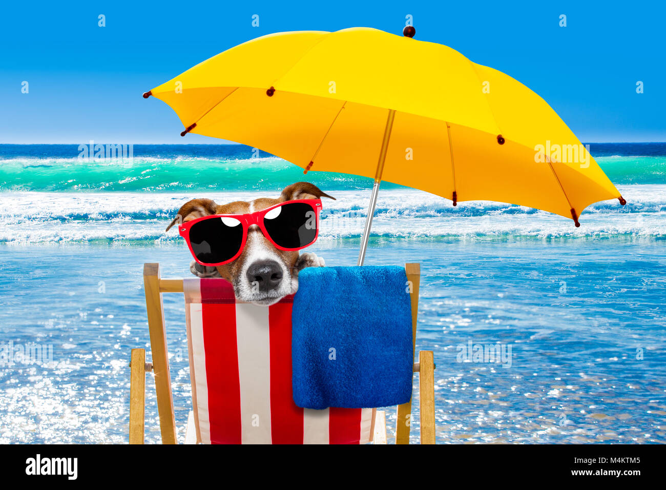 Close up of Jack Russell chien et vous reposer sur un hamac ou chaise de plage sous parapluie à la beach ocean shore, les vacances d'été vacances, Banque D'Images