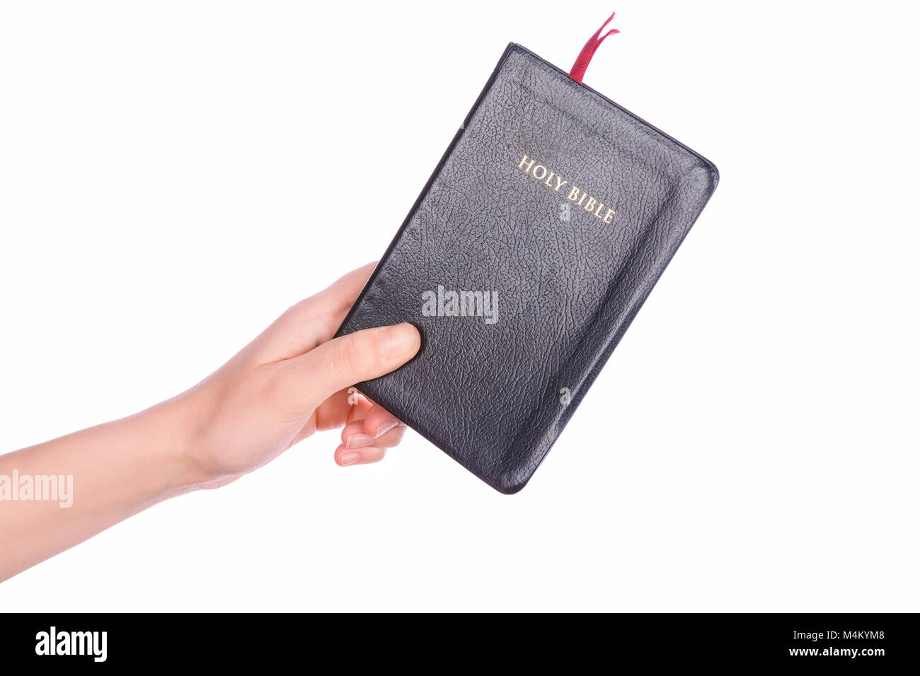 Femme main tenant la Sainte Bible sur fond blanc. Banque D'Images