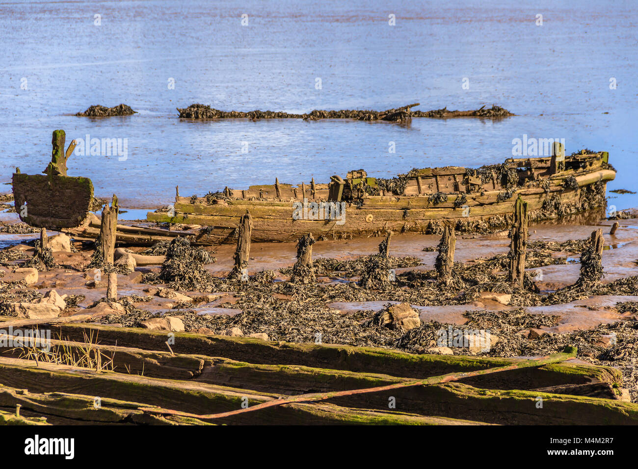 Des morceaux de vieux bateaux visibles à marée basse sur l'Exe de l'estuaire, Devon. Banque D'Images