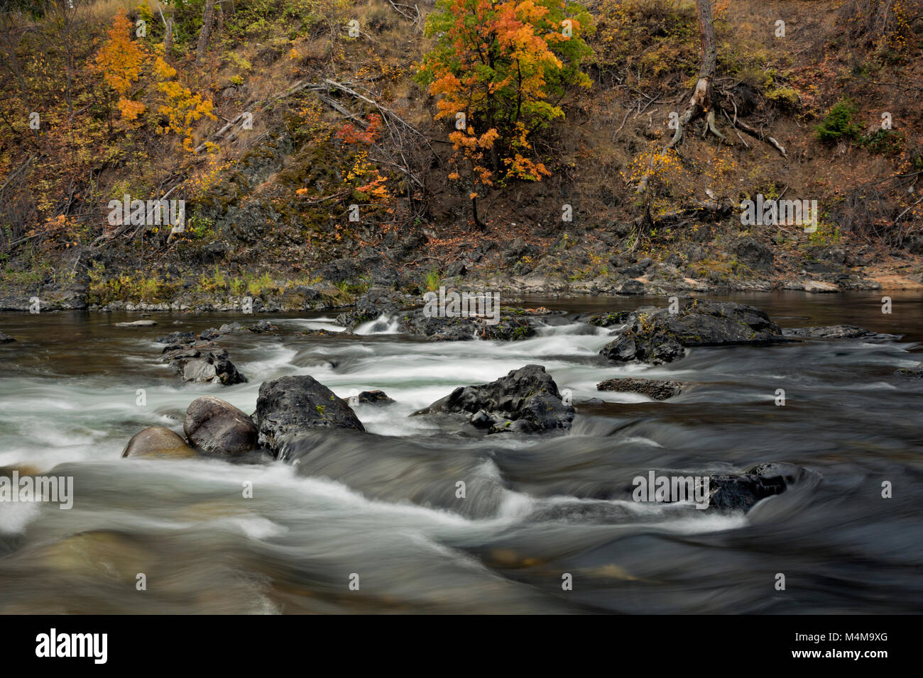 WA13492-00...WASHINGTON - l'automne le long des rives de la rivière Chewuch traversant le centre de la ville de Winthrop. Banque D'Images