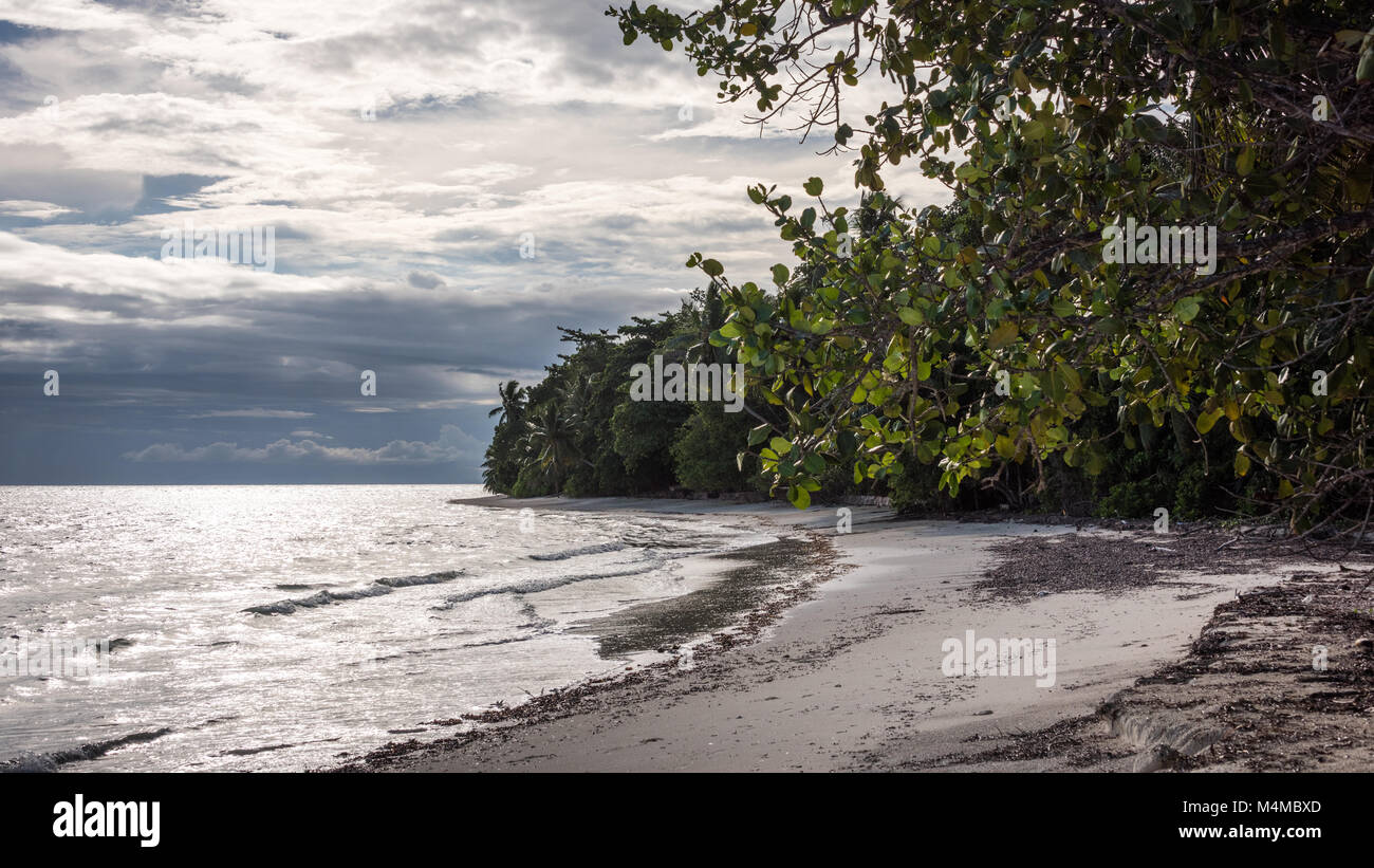 Praslin Beach et marins, Sychelles Banque D'Images