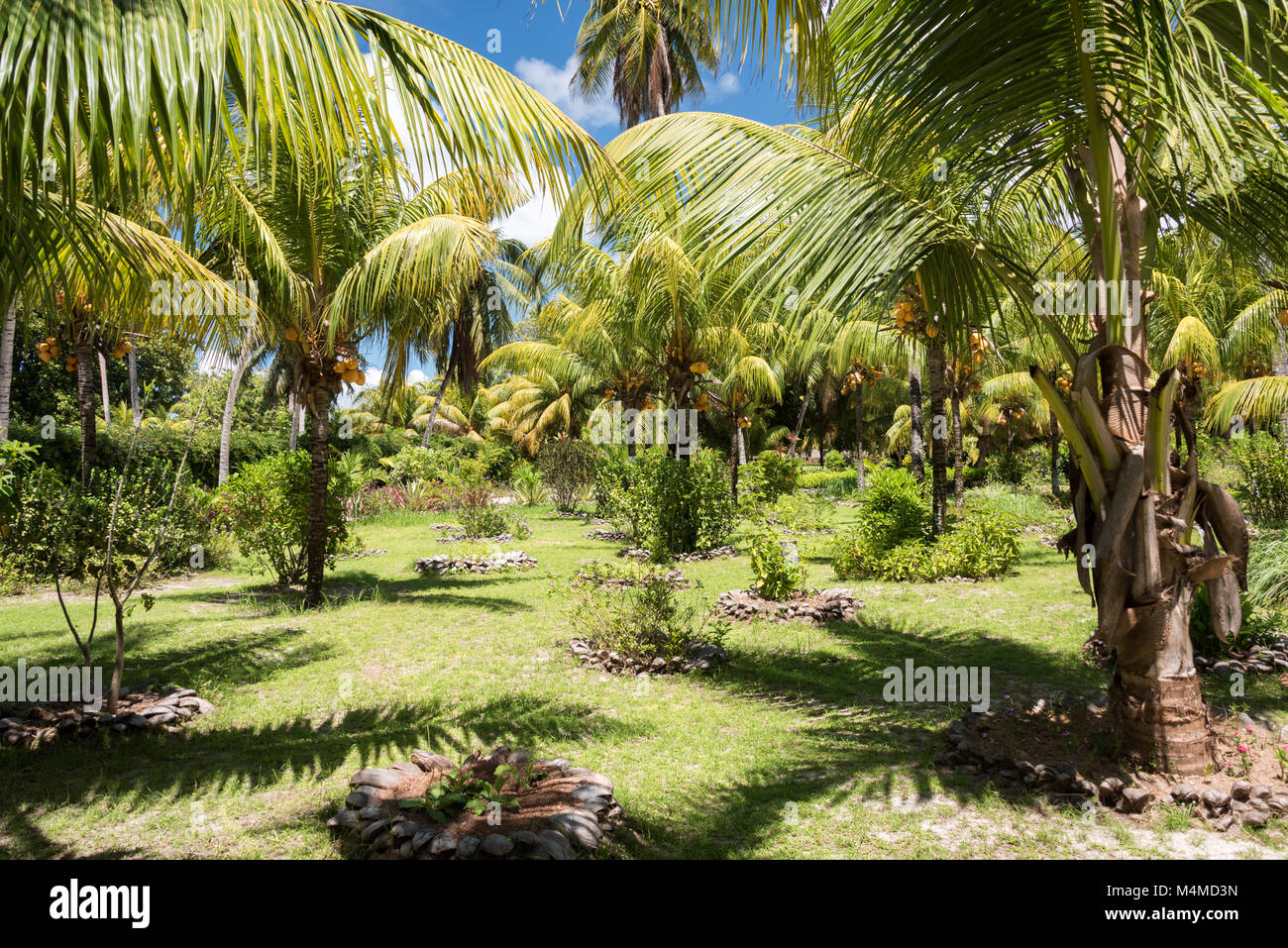 La Union Estate Jardin Botanique, La Digue, Seychelles Banque D'Images