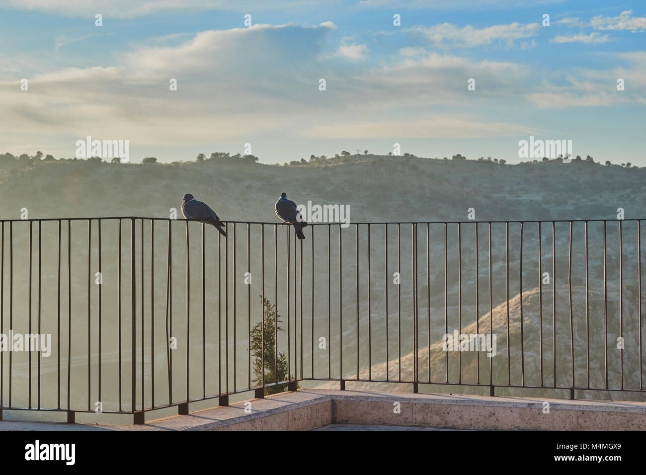 Couple de pigeons perché sur main courante d'un point de vue au lever du soleil à Tolède, Espagne Banque D'Images
