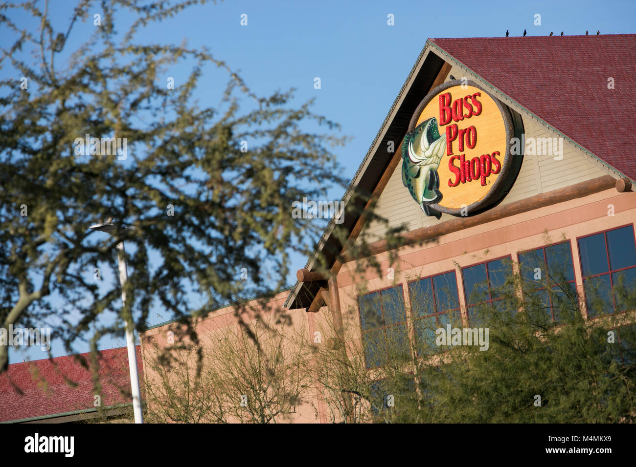 Un logo affiche à l'extérieur d'un magasin Bass Pro Shops à Mesa, Arizona, le 4 février 2018. Banque D'Images