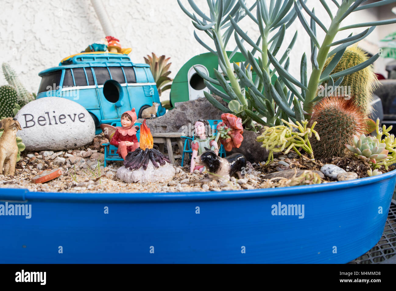 Jardin Cactus. Jardin de fées de cactus miniature dans un semoir de plan d'examen avec une petite pierre avec le mot croire sur lui Banque D'Images