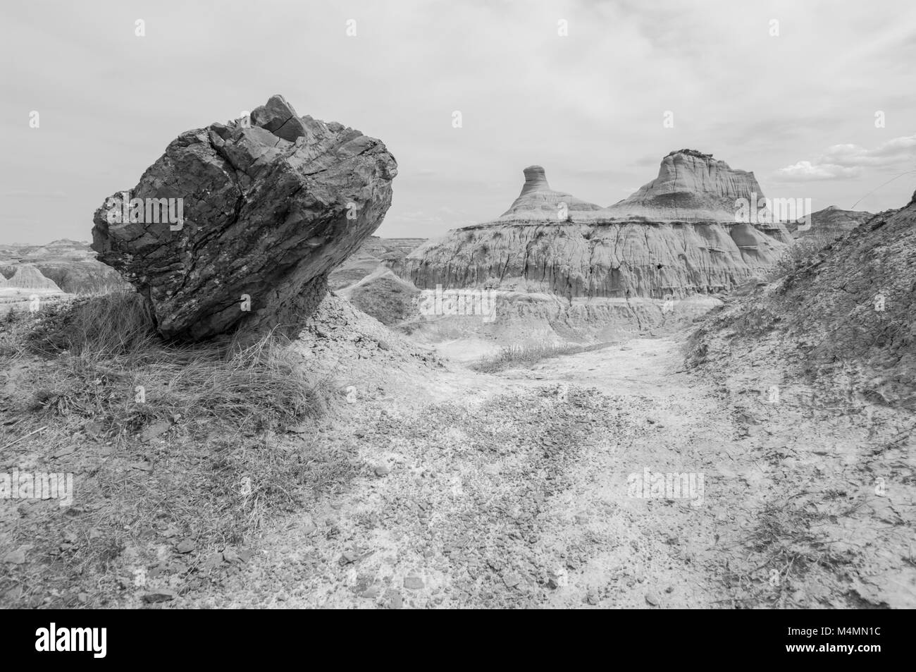 Trail et relief dans le parc provincial Dinosaur, en Alberta, au Canada, en monochrome ; Site du patrimoine mondial de l'UNESCO Banque D'Images