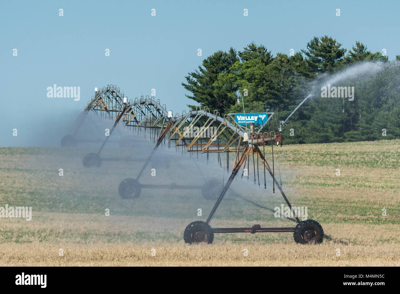 L'irrigation des cultures. Banque D'Images