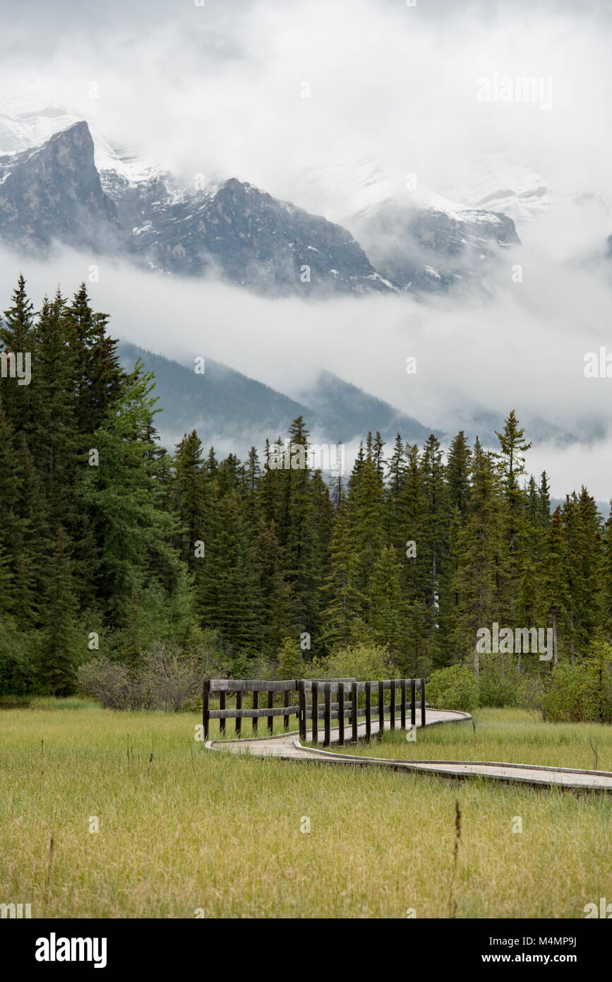 Canmore, Alberta, Canada. Le ruisseau du policier Boardwalk sous un ciel couvert, du printemps de l'orientation verticale. Banque D'Images