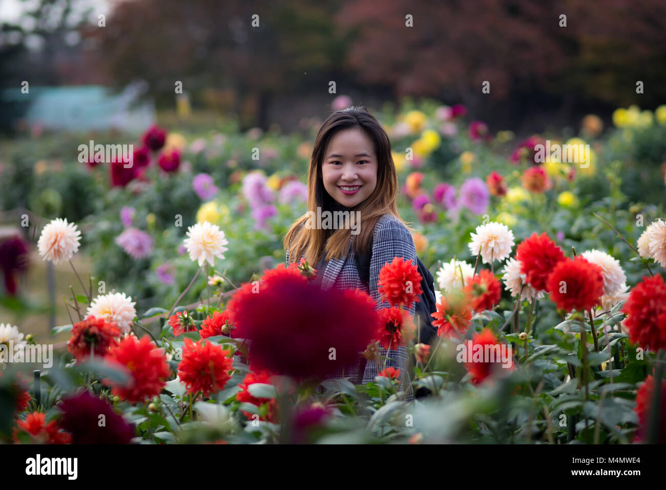 Belle femme posant à côté de fleurs rouges dans un jardin japonais Banque D'Images
