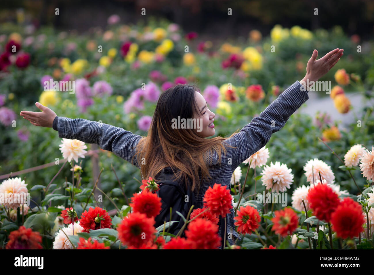 Belle femme posant à côté de fleurs rouges dans un jardin japonais Banque D'Images