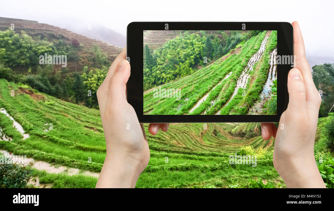 Travel Concept - photographies touristiques lits riz en terrasses sur les collines près de Tiantouzhai village de Dazhai (Longsheng Longji, épine dorsale du Dragon) Terrasse de riz Banque D'Images