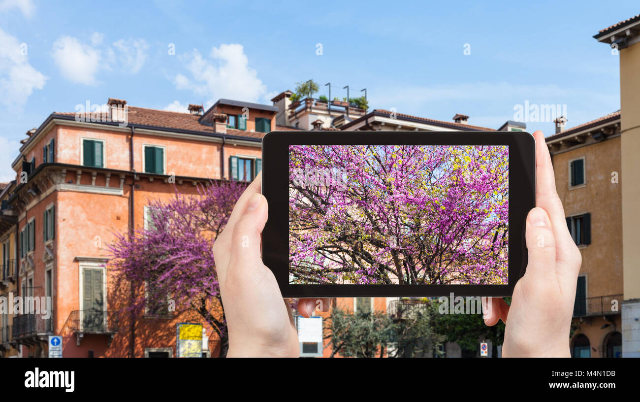 Travel Concept - photographies touristiques printemps paysage urbain dans la ville de Vérone en Italie dans la saison du printemps sur tablette Banque D'Images