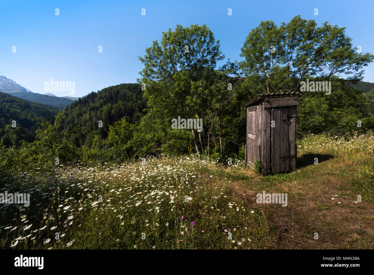 Peu de toilettes en bois maison entourée d'une prairie en fleurs, Monténégro Banque D'Images