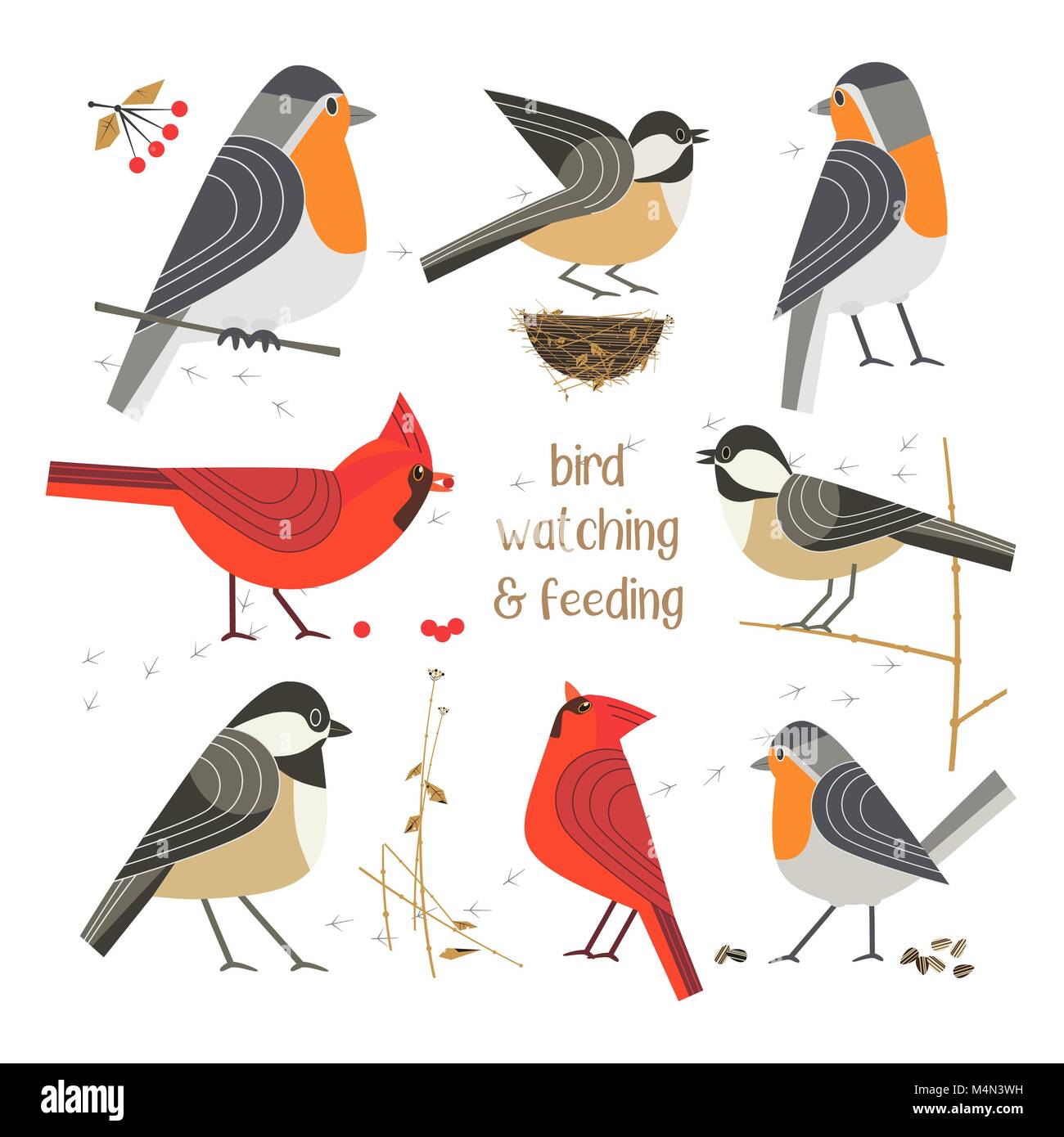 L'observation des oiseaux, nourrir les oiseaux l'icon set Illustration de Vecteur