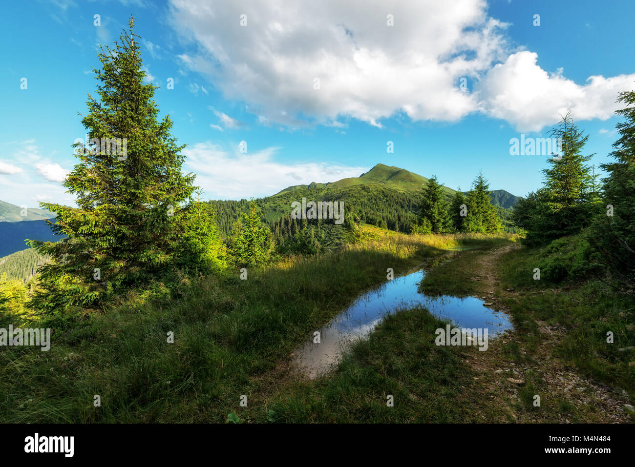 Paysage d'été pittoresque en journée ensoleillée Banque D'Images