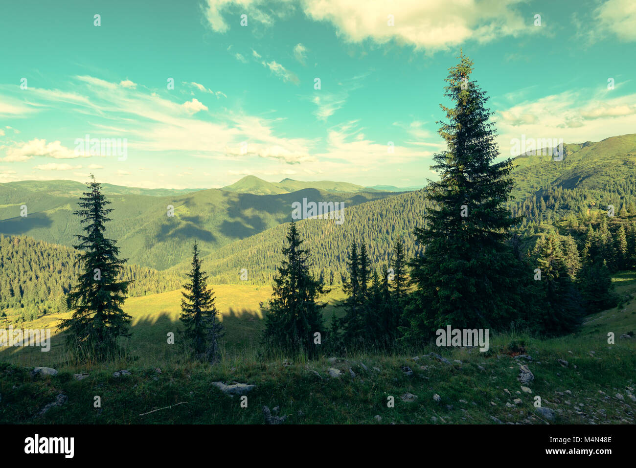 Paysage d'été pittoresque en journée ensoleillée Banque D'Images