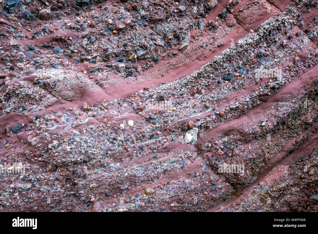 Les couches de roche de conglomérat et pierre grès rose, Gardenstown, Aberdeenshire, Scotland, UK Banque D'Images