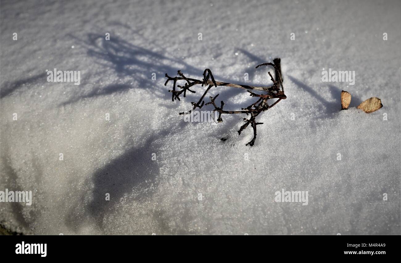 Direction générale de l'abstrait et de feuilles dans la neige avec ombre Banque D'Images