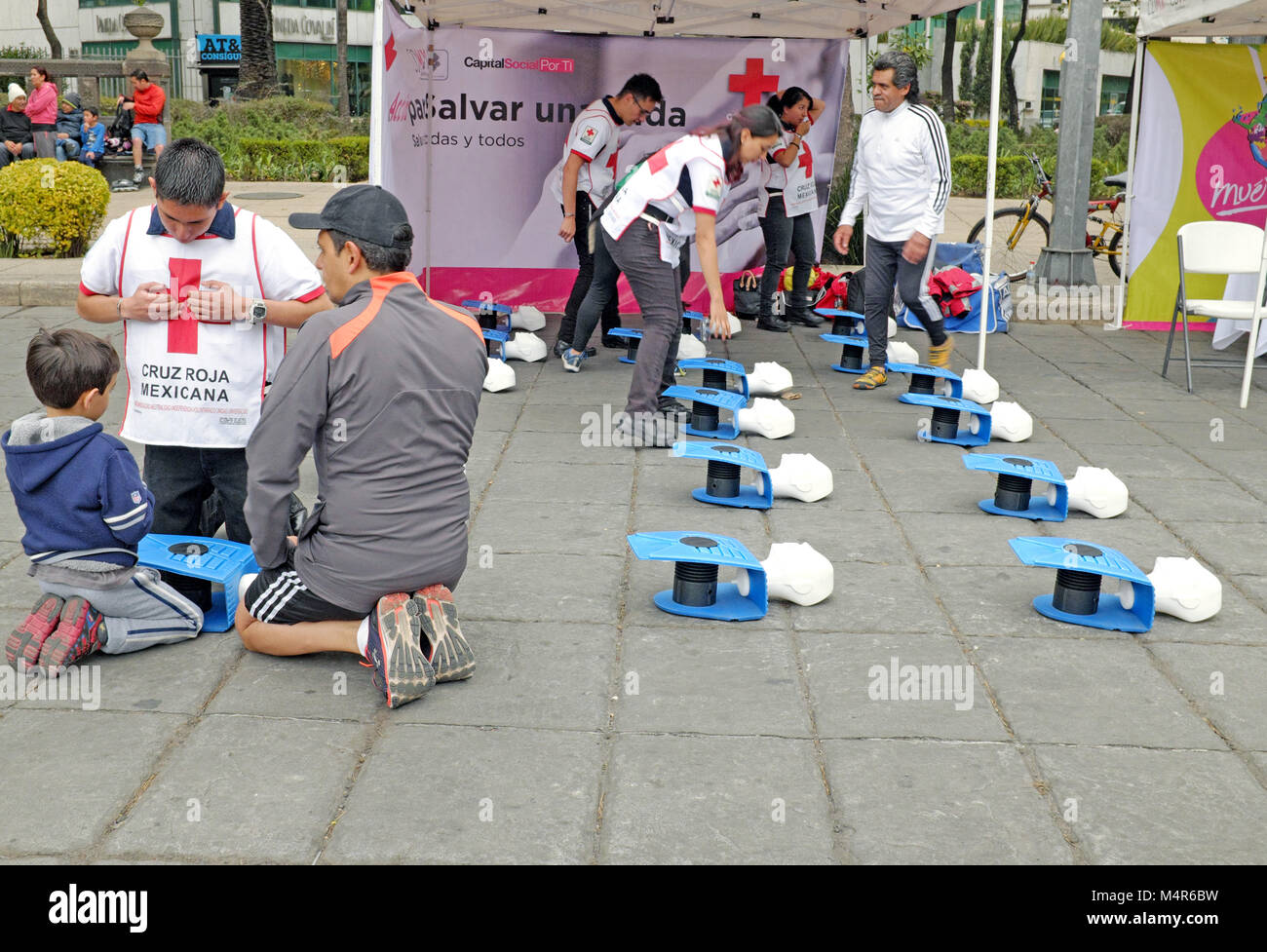 Cruz Roja Mexicana bénévoles démontrent la RCP pour les gens qui sont intéressés à apprendre la technique à un stand sur le Paseo de Reforma à Mexico City. Banque D'Images