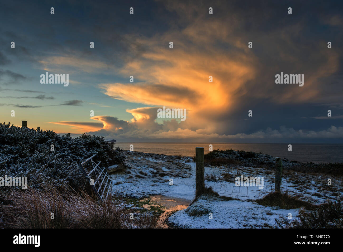 Cumulonimbus au coucher du soleil, sur les Pentland Firth, à partir d'une ferme près de St John's Point, Caithness, Ecosse, Royaume-Uni Banque D'Images