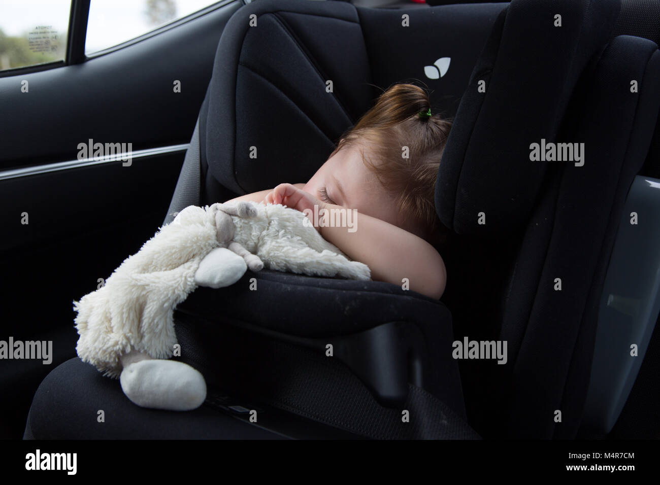 Bebe Fille De 15 Mois Endormi Dans Son Siege De Voiture Avec Son Edredon Photo Stock Alamy Bebe Fille De 15 Mois Endormi Dans Son Siege De Voiture Avec Son Edredon Photo Stock Alamy