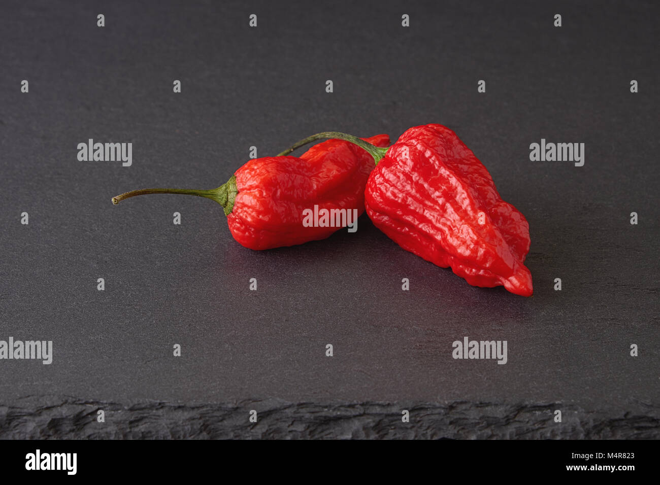 Peppers Ghost isolé sur fond gris foncé Banque D'Images