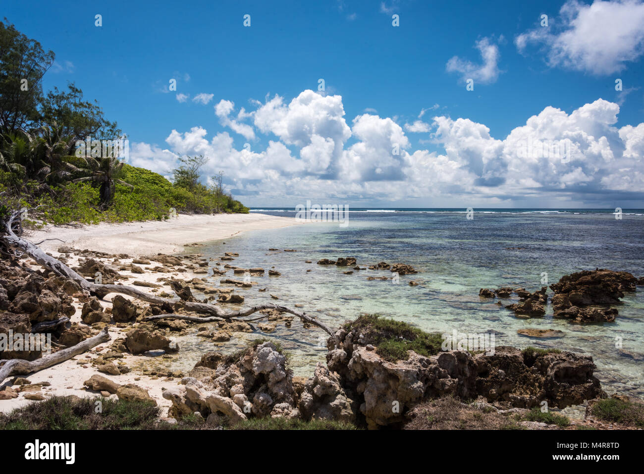 Littoral, Denis Private Island, Seychelles Banque D'Images