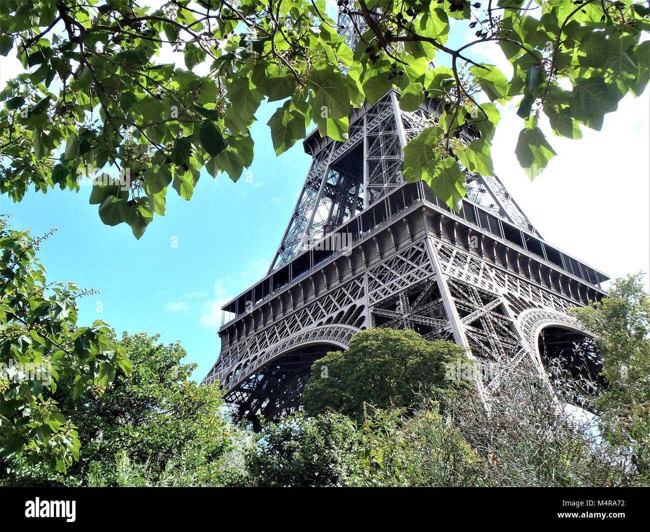 La Tour Eiffel à travers les arbres Banque D'Images