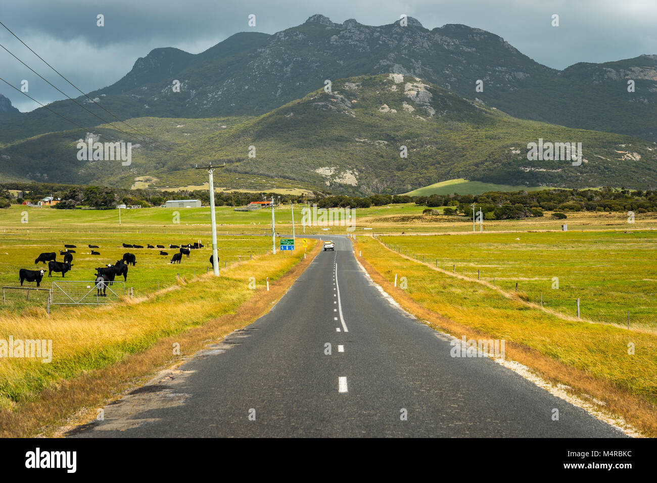 Route de Mont Strzelecki sur Flinders Island, Tasmanie Banque D'Images
