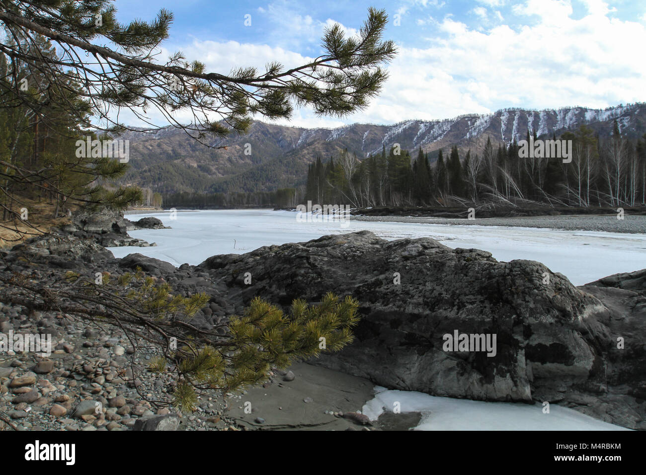 Au printemps La rivière Katun, République de l'Altaï, en Russie Banque D'Images