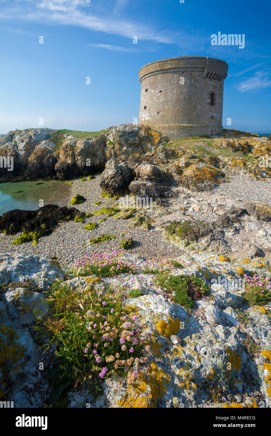 La tour martello sur Ireland's Eye, Howth Head, comté de Dublin, Irlande. Banque D'Images