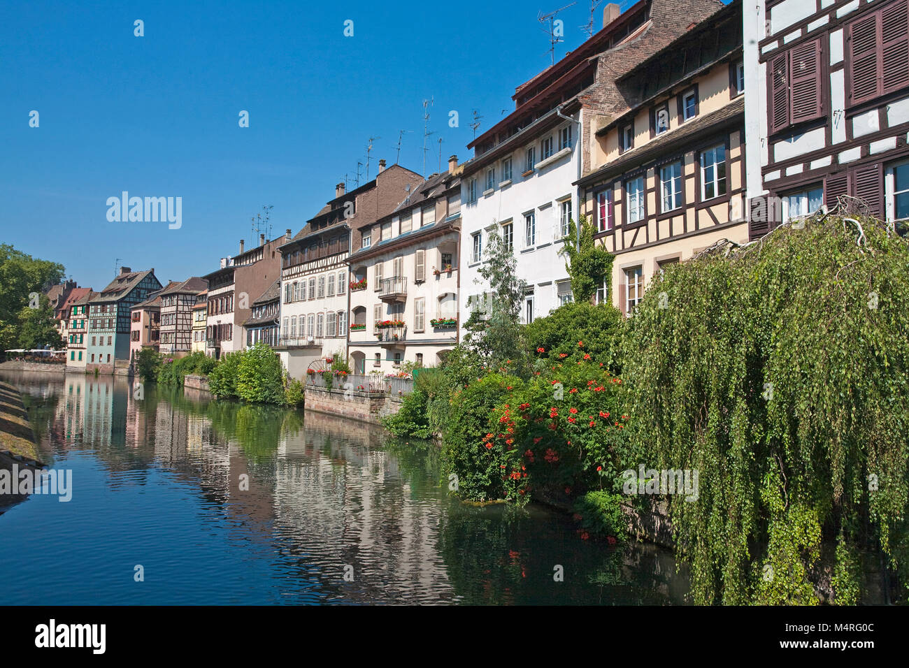 Maisons à colombages idyllique à l'Ill, rivière (La Petite France la Petite France), Strasbourg, Alsace, Bas-Rhin, France, Europe Banque D'Images