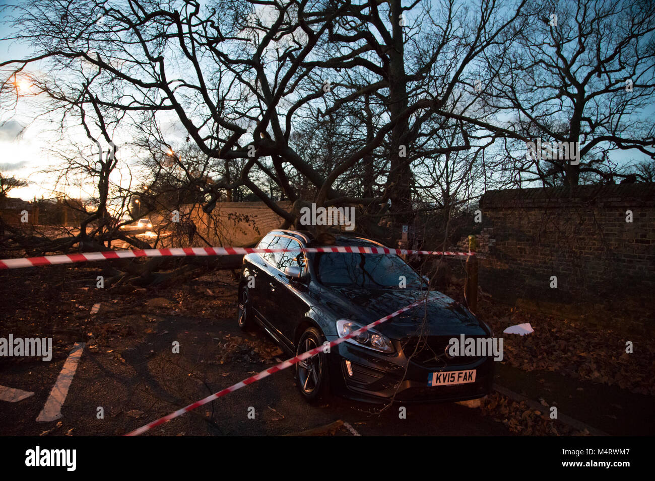 Arbre à partir de Greenwich park se plante à travers le mur sur Maze Hill et atterrit sur le toit d'une voiture ce matin. Doté d''atmosphère : où : Greenwich, Royaume-Uni Quand : 18 Jan 2018 Credit : WENN.com Banque D'Images