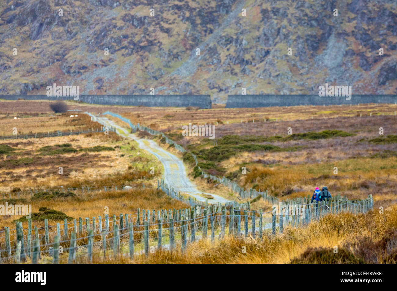 Un couple de marcheurs de la randonnée le long du chemin dans la vallée où l'Eigiau Llyn est situé à partie de la montagnes Carneddau et le parc national de Snowdonia Banque D'Images