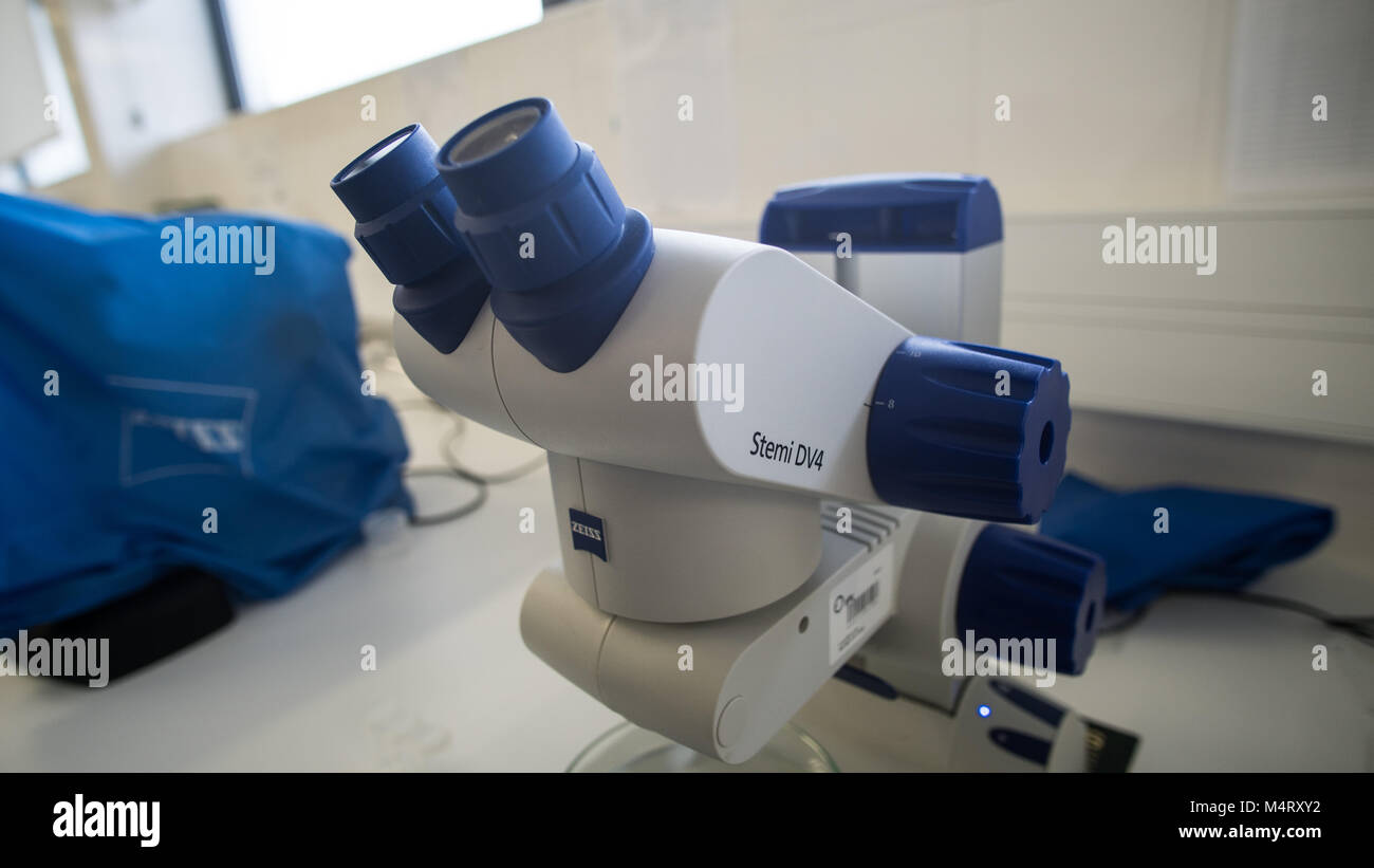ZEISS Microscope in laboratory Banque D'Images