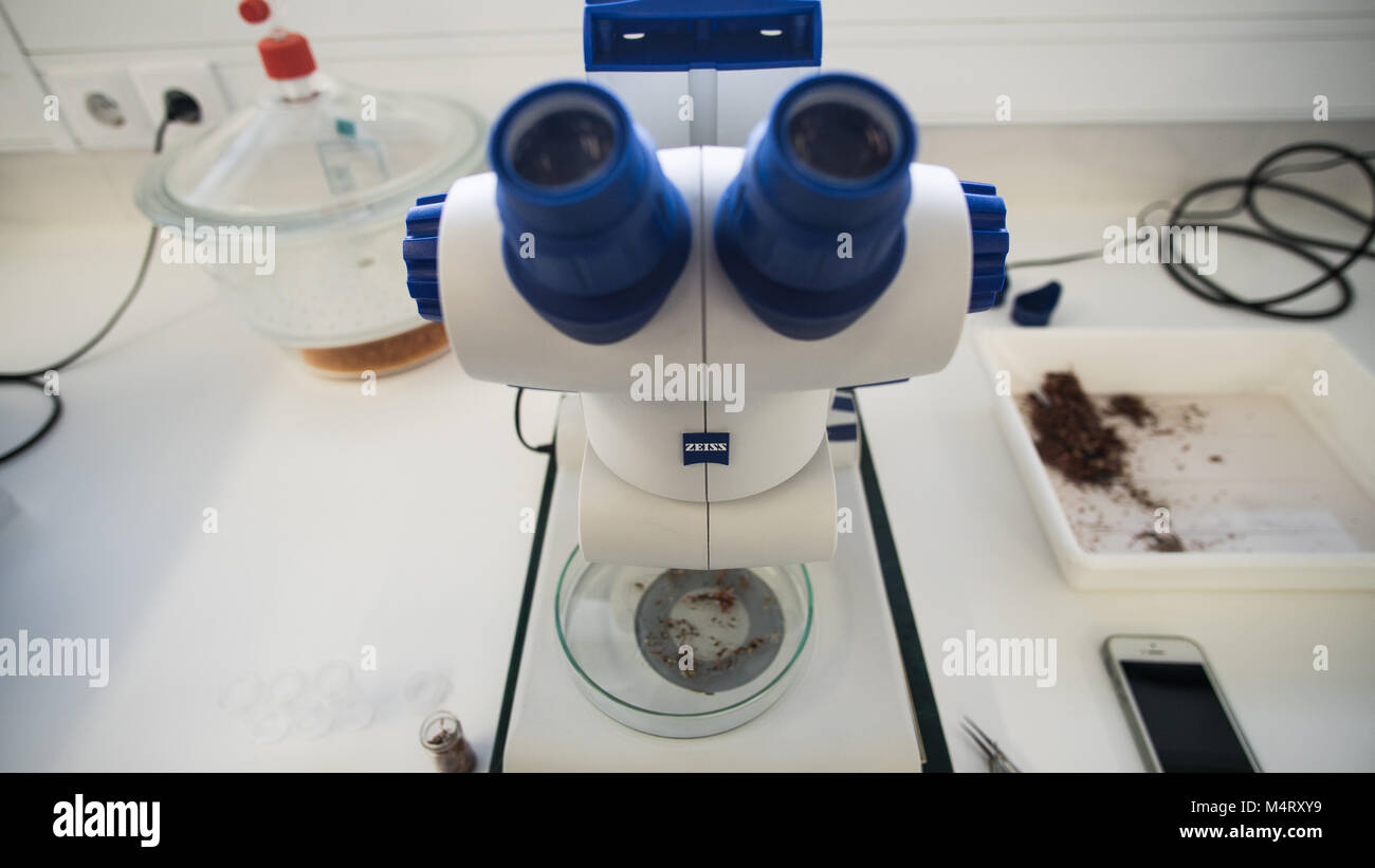 ZEISS Microscope in laboratory Banque D'Images