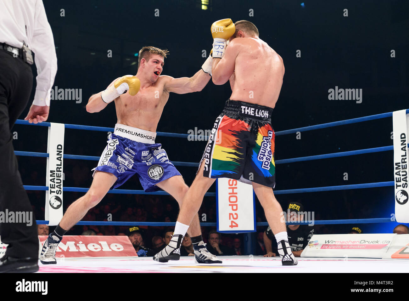 profiboxer banque d image et photos alamy
