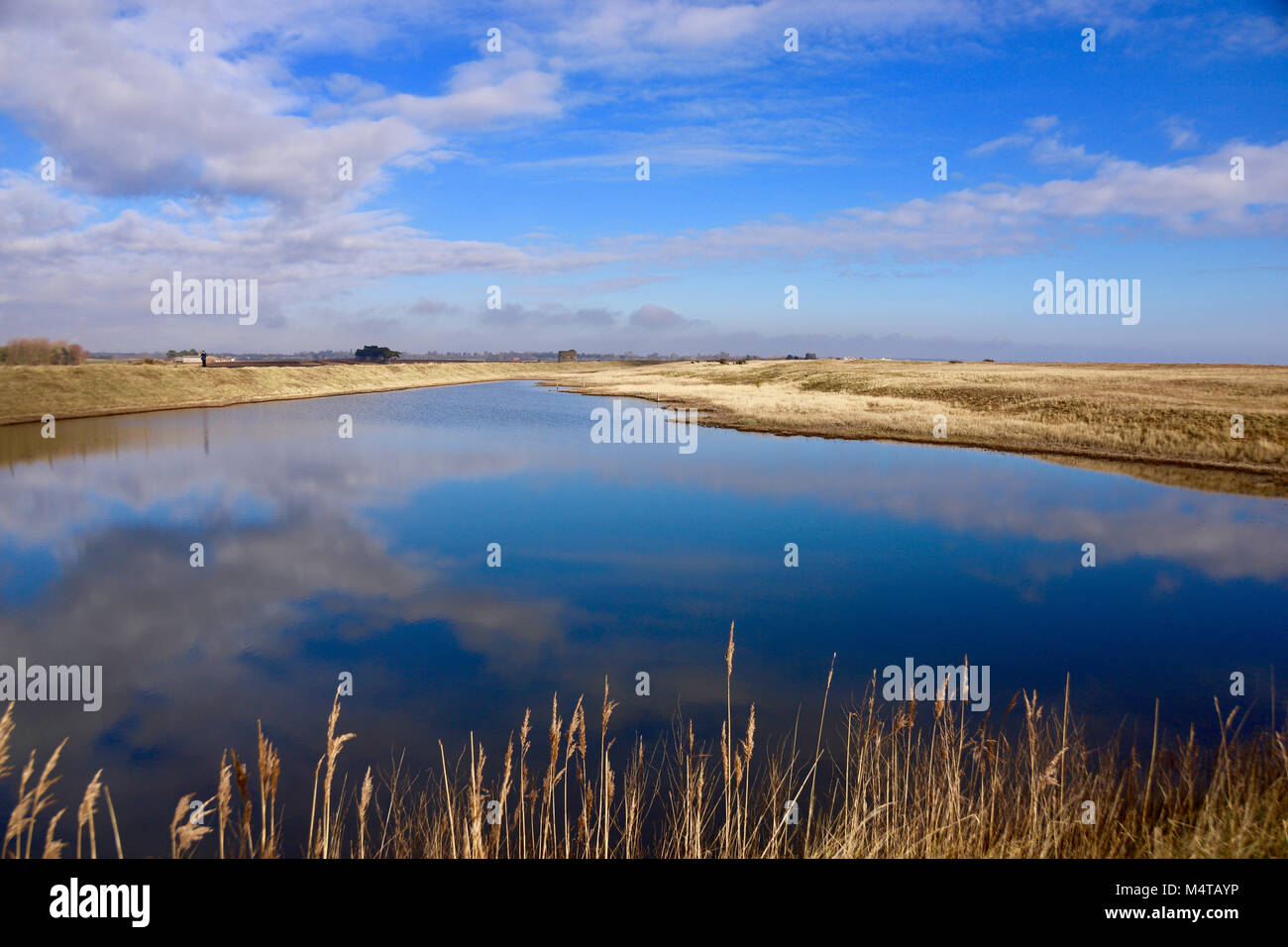 Météo France : matin d'hiver ensoleillée à Bawdsey, Suffolk. Credit : Angela Chalmers/Alamy Live News Banque D'Images