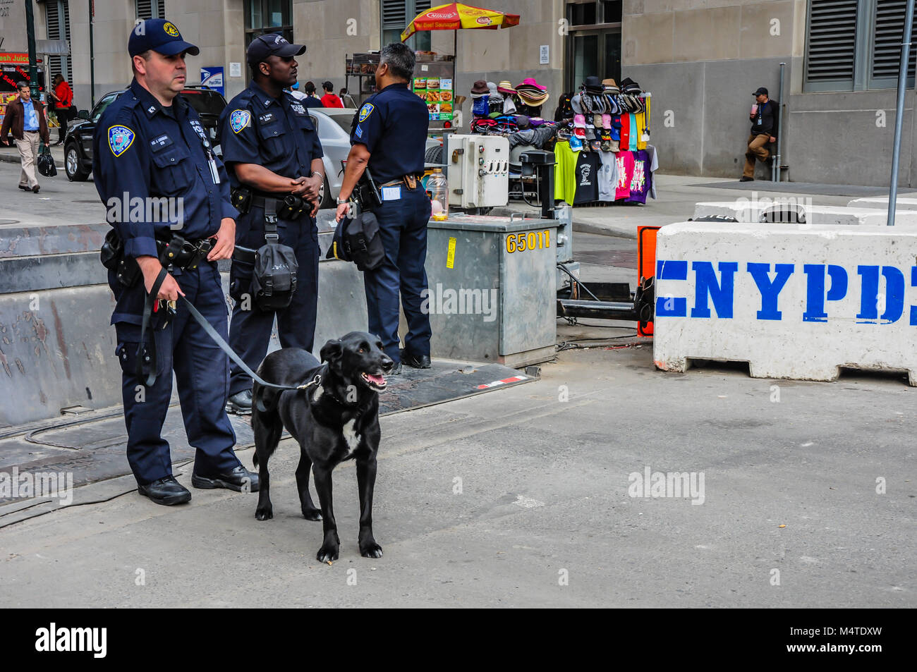 L'Unité canine de la Police de New York Banque D'Images