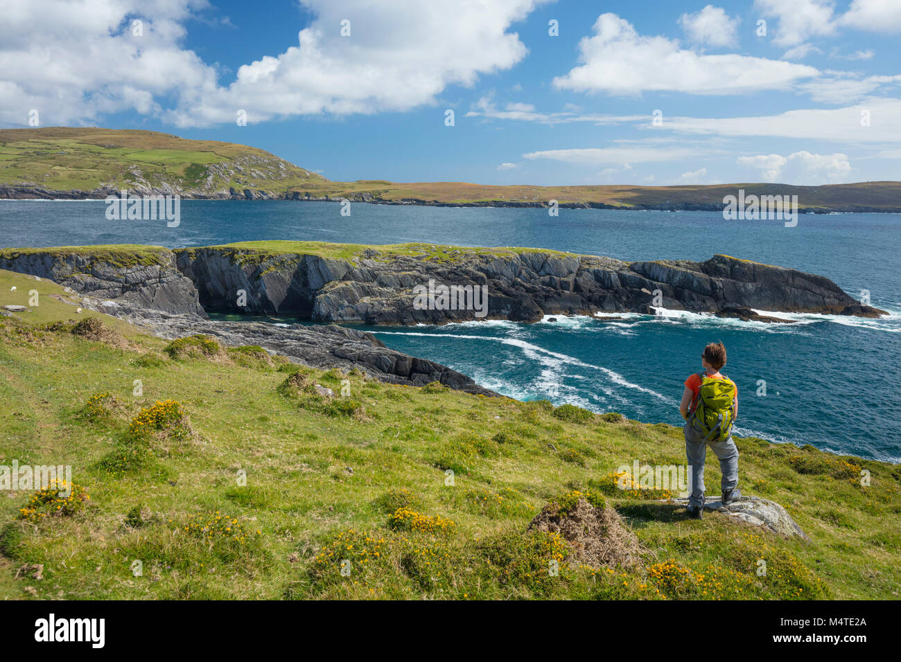 Randonneur à la recherche d'Illanebeg islet, Dursey Island, Péninsule de Beara, comté de Cork, Irlande. Banque D'Images