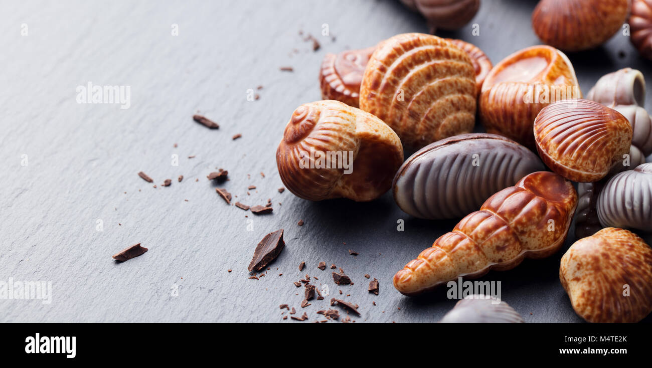 Bonbons de chocolat belge traditionnelle, la forme de la coquille. Arrière-plan en ardoise noire. Copier l'espace. Banque D'Images