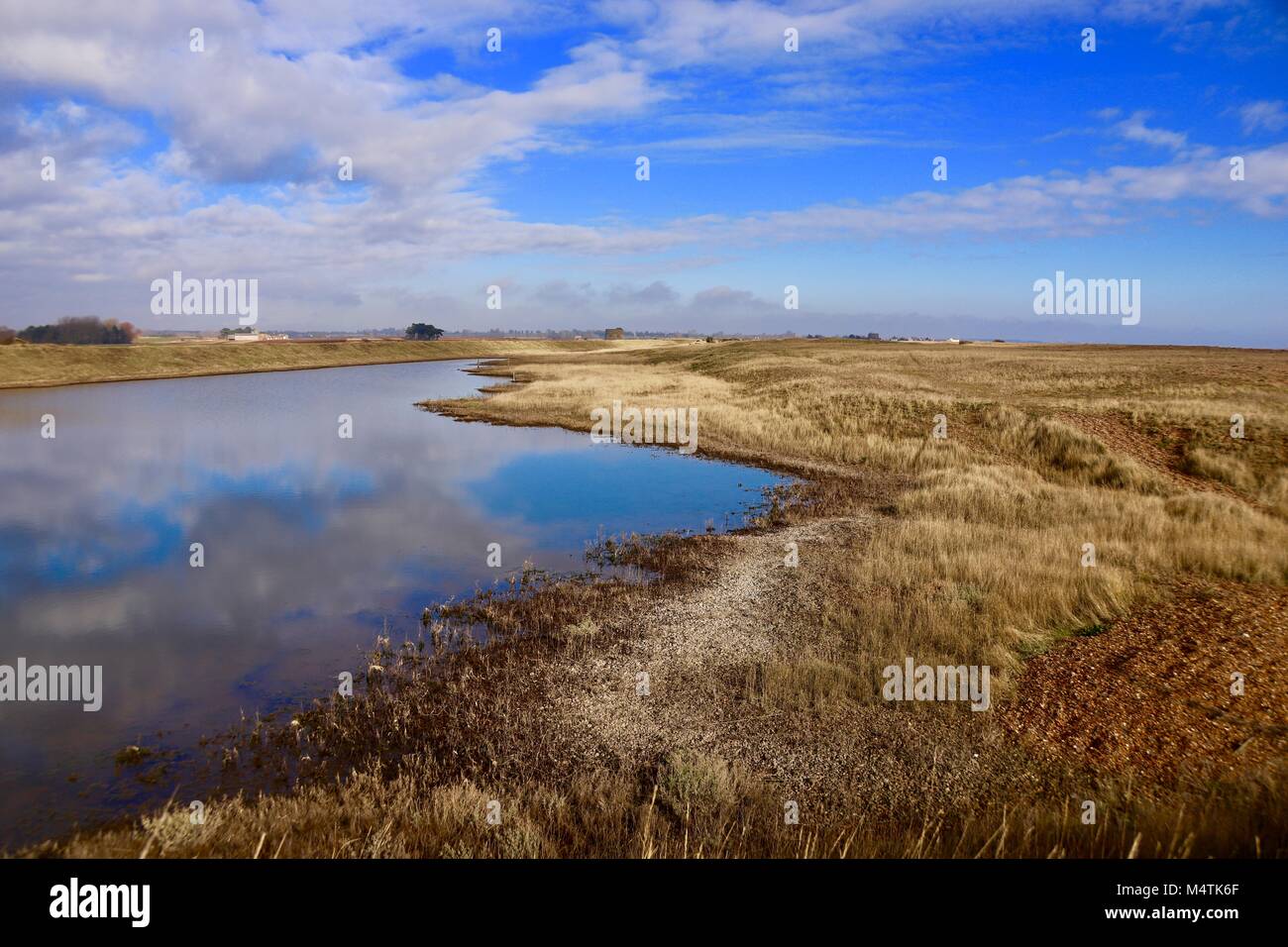 Les banques d'or autour d'une lagune reflétant par la mer du Nord à Bawdsey, Suffolk. Banque D'Images