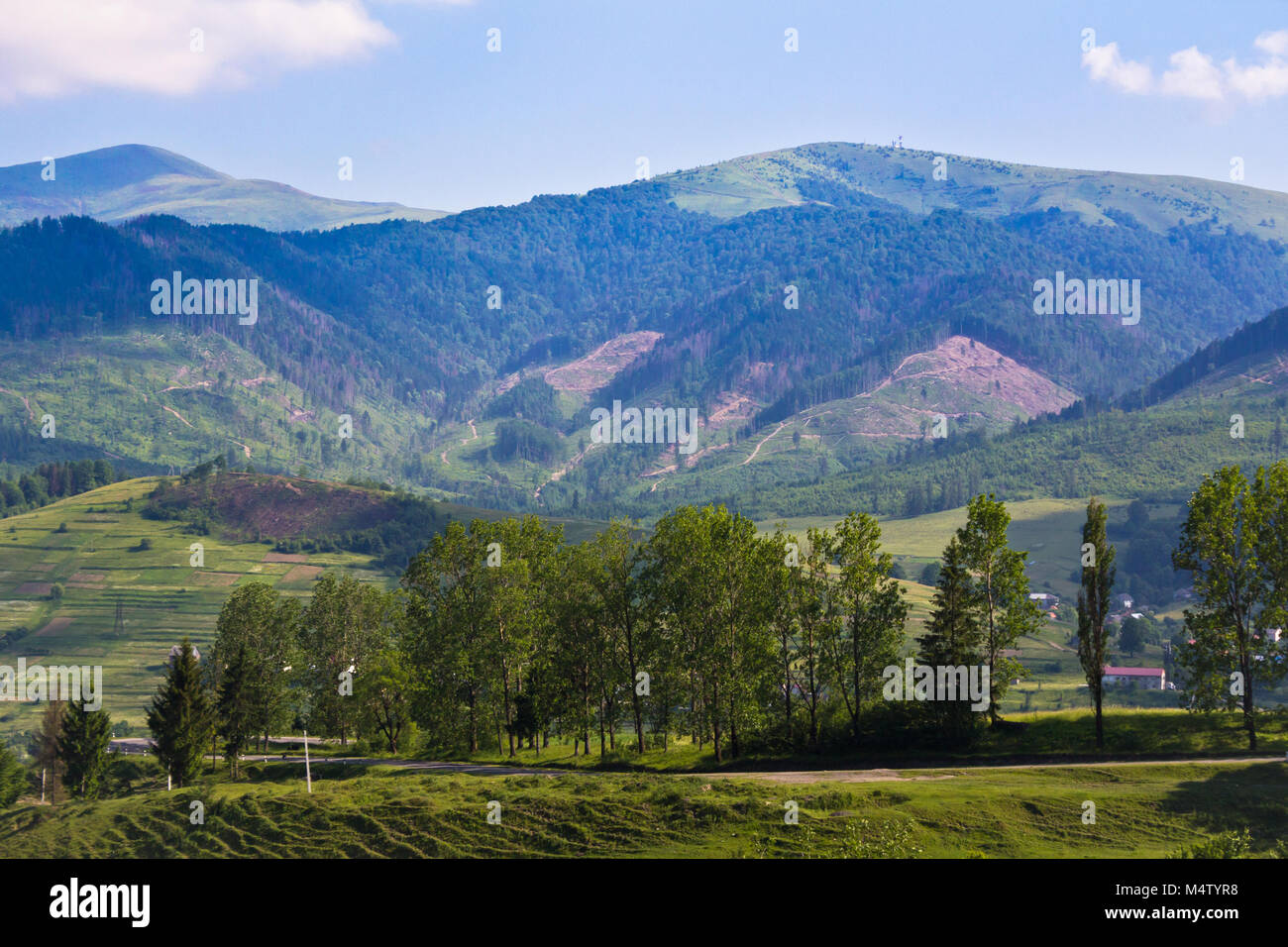 Paysage naturel paisible de la région ouest de l'Ukraine Banque D'Images