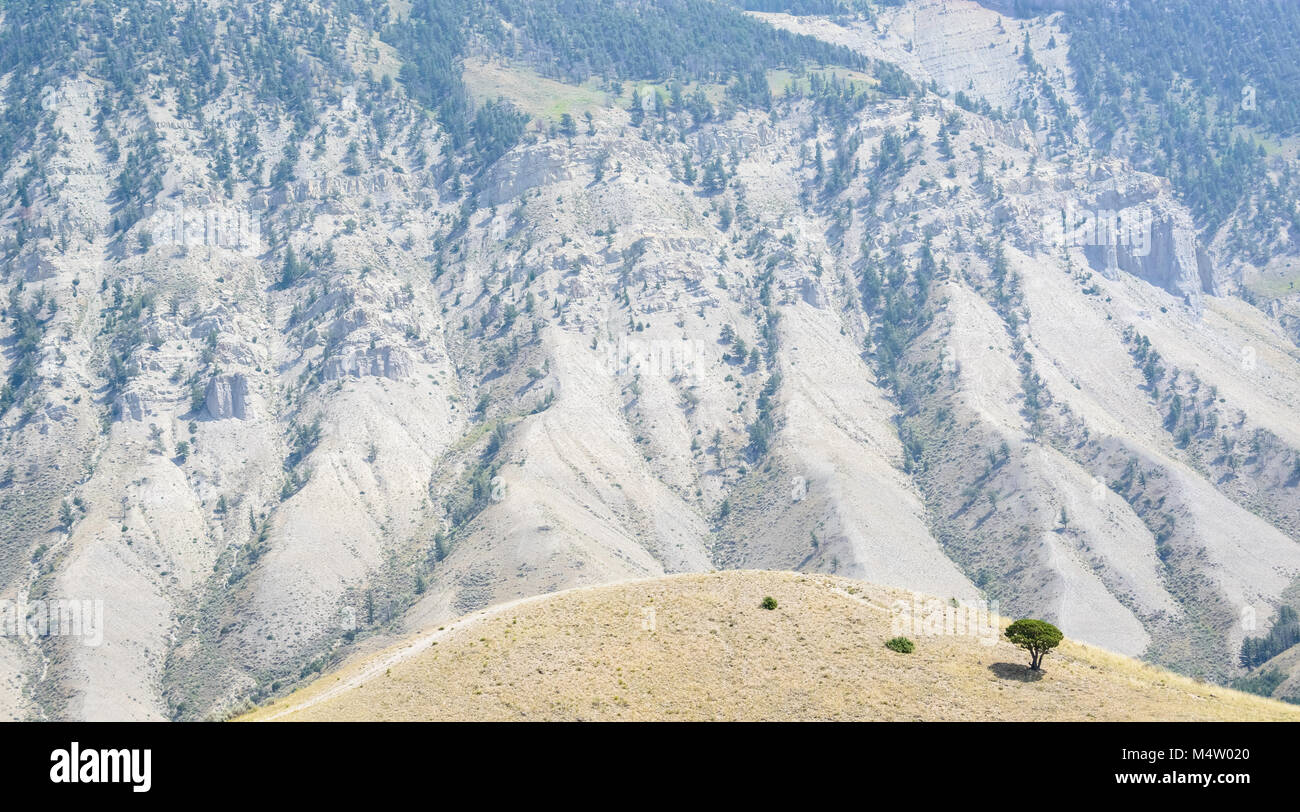 Les montagnes Rocheuses et les pentes arides avec des crêtes en été près de Red Lodge, Montana, USA. Banque D'Images