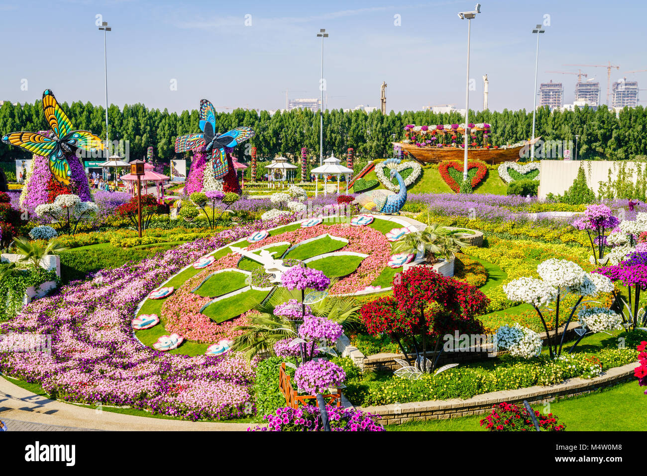 Dubaï, Émirats arabes unis, le 12 décembre 2016 : Miracle Jardin est l'une des principales attractions touristiques de DUBAÏ, ÉMIRATS ARABES UNIS Banque D'Images